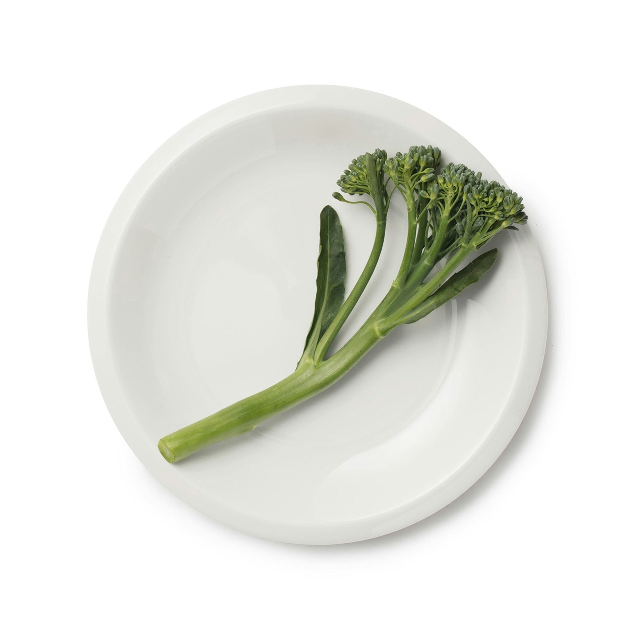 Raami Plate by Iittala