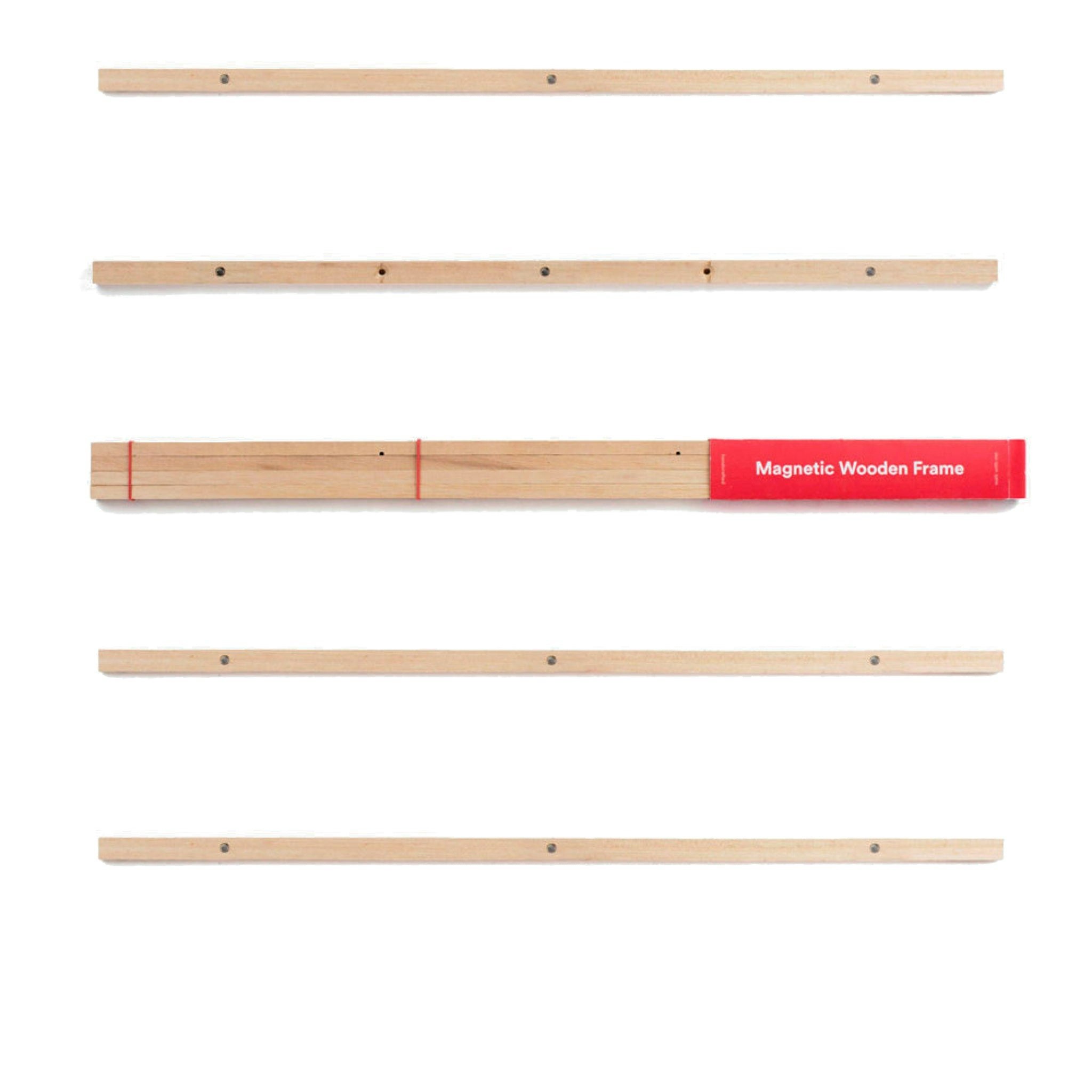 Medium Magnetic Frame by Walk With Me