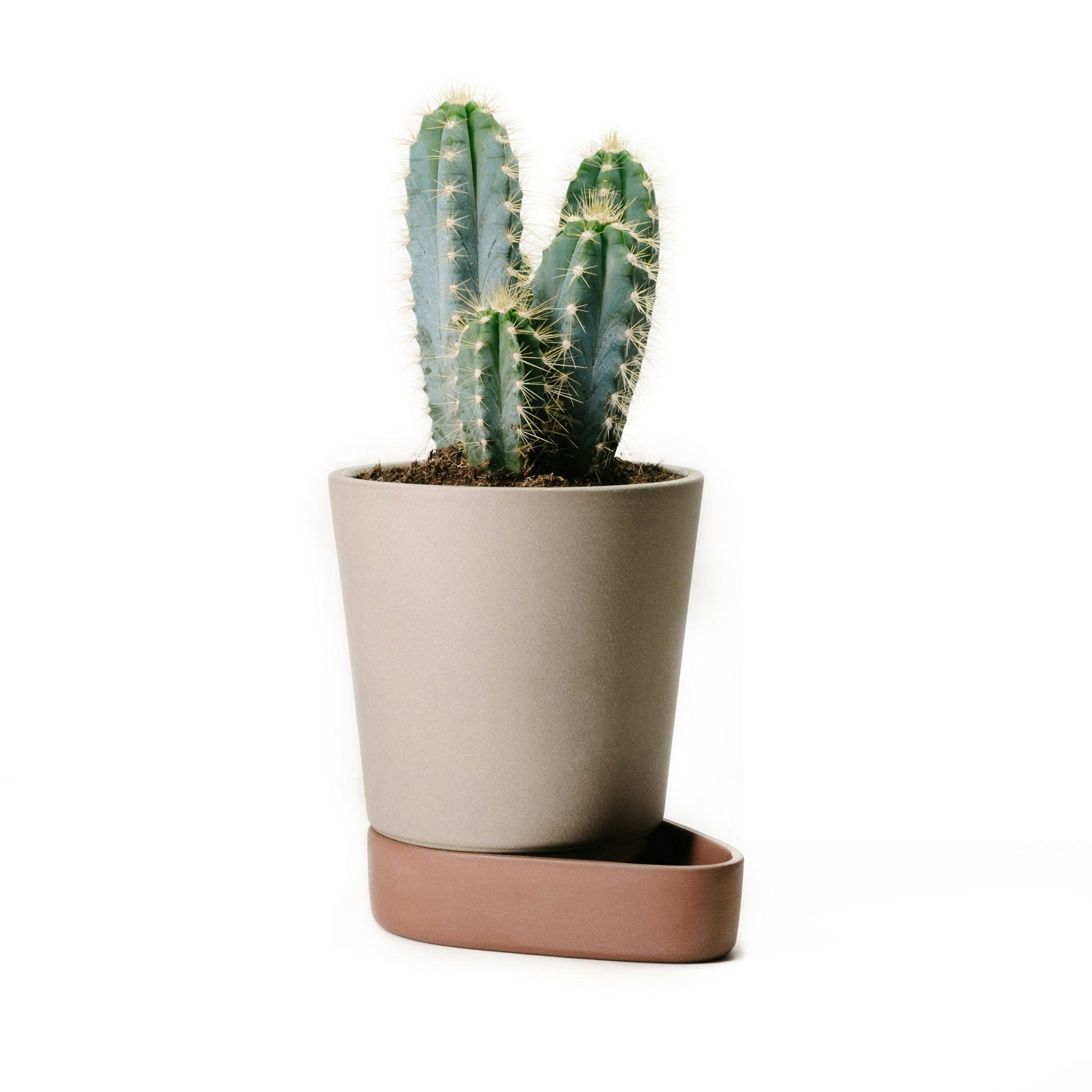 Sip Plant Pot by Case