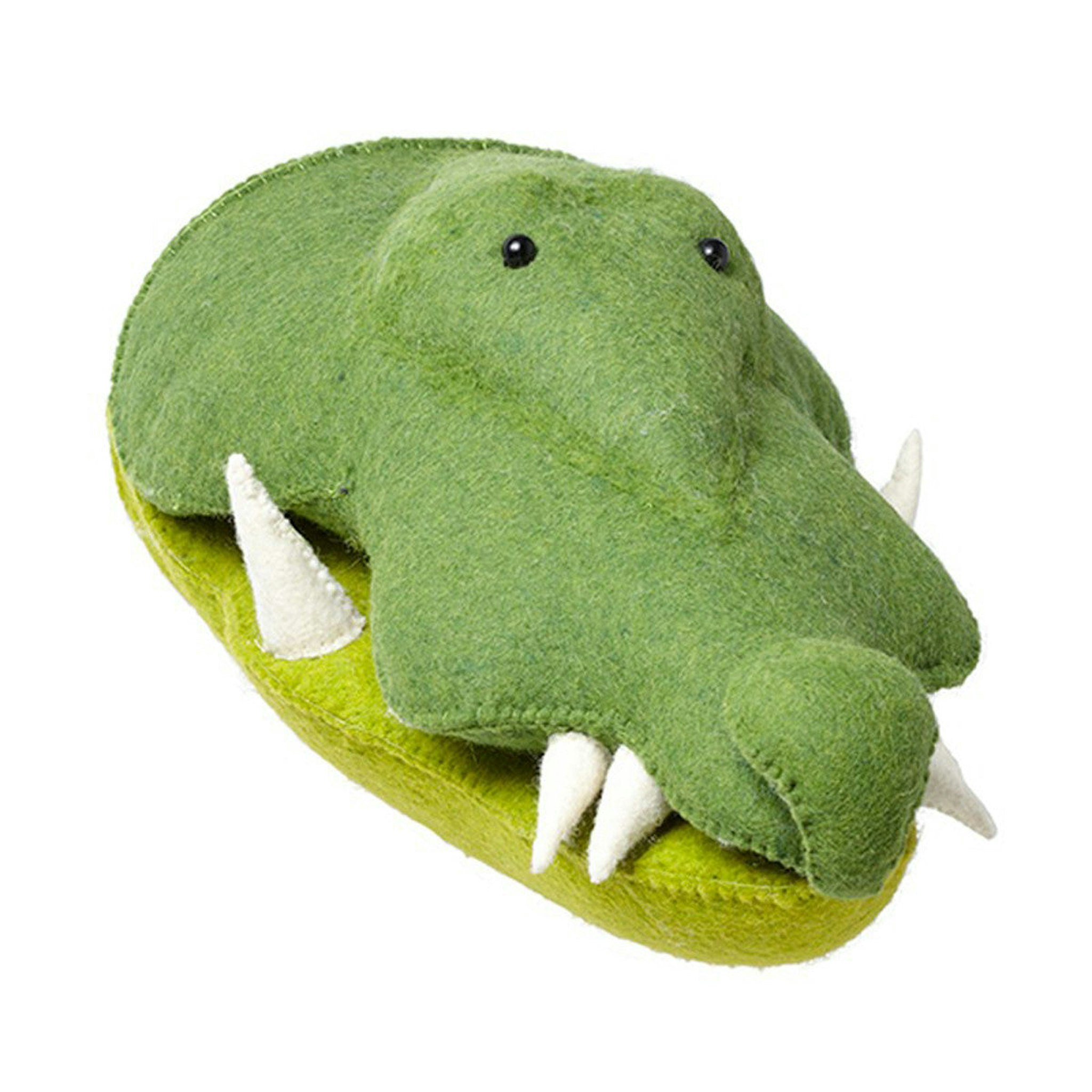 Crocodile Head by Fiona Walker