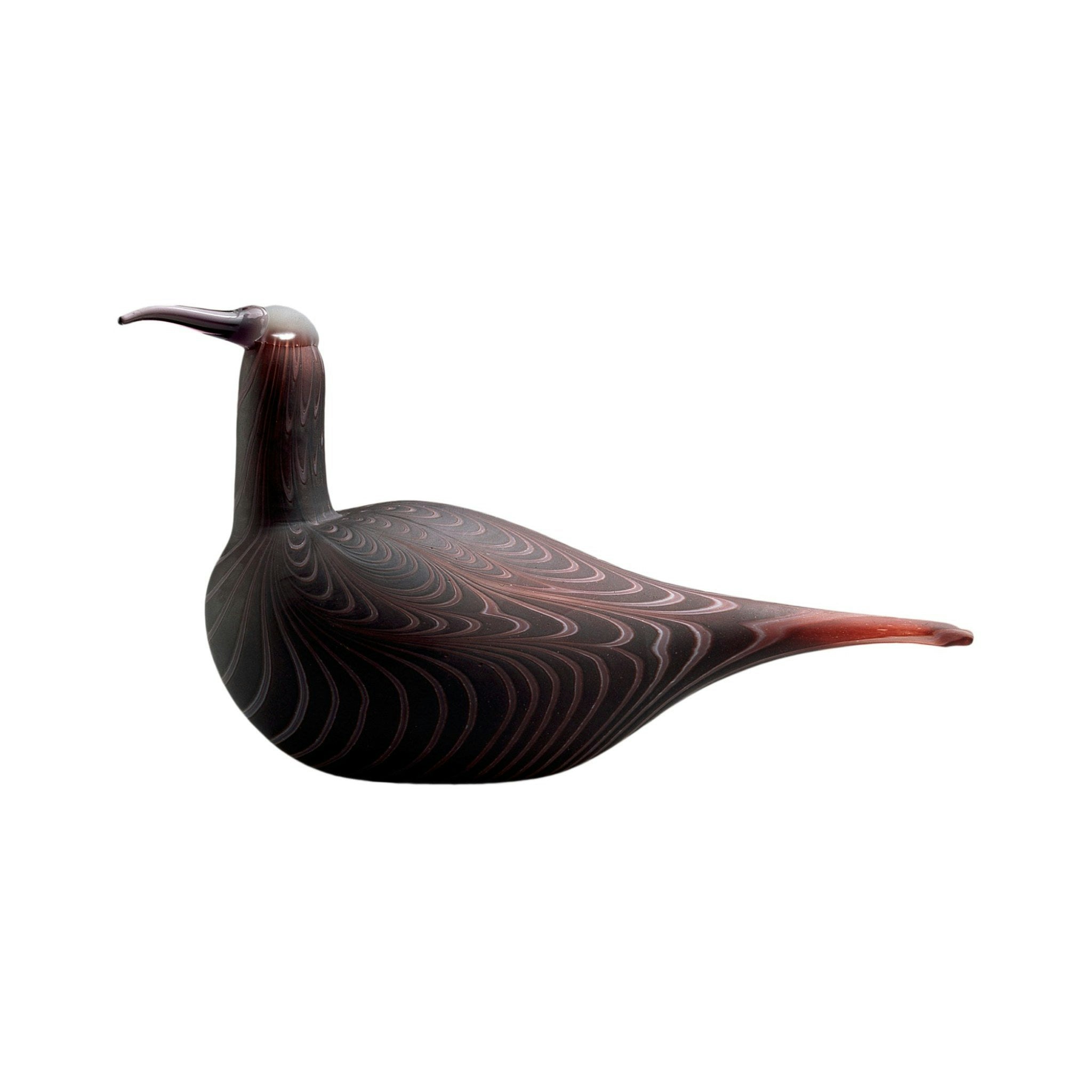 Curlew by Iittala