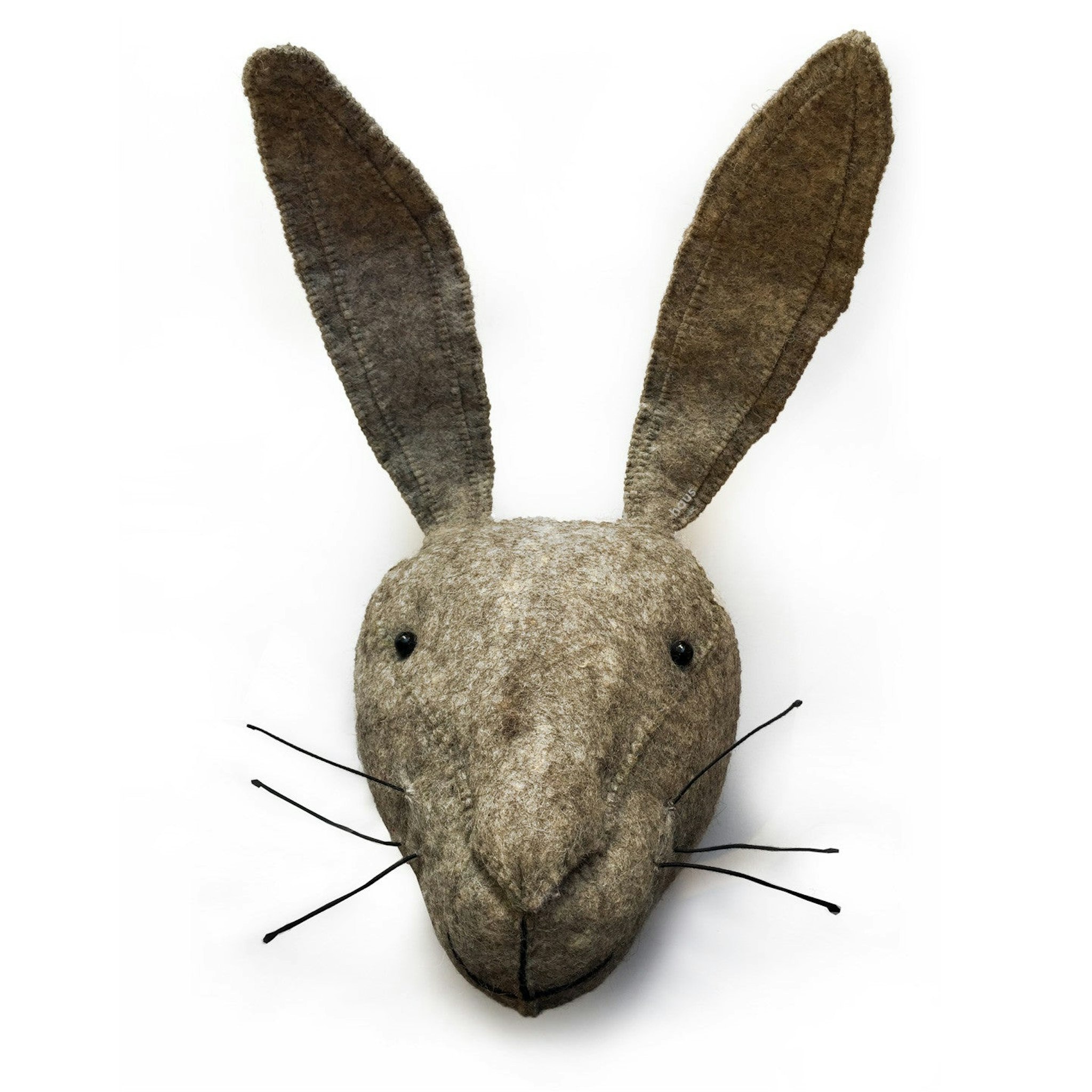 Hare Head by Fiona Walker